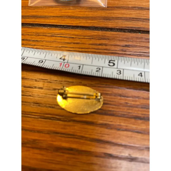 Palm Harbor Library six Year Volunteer pin  with goldtone lapel pin it tie tack - Picture 2 of 3